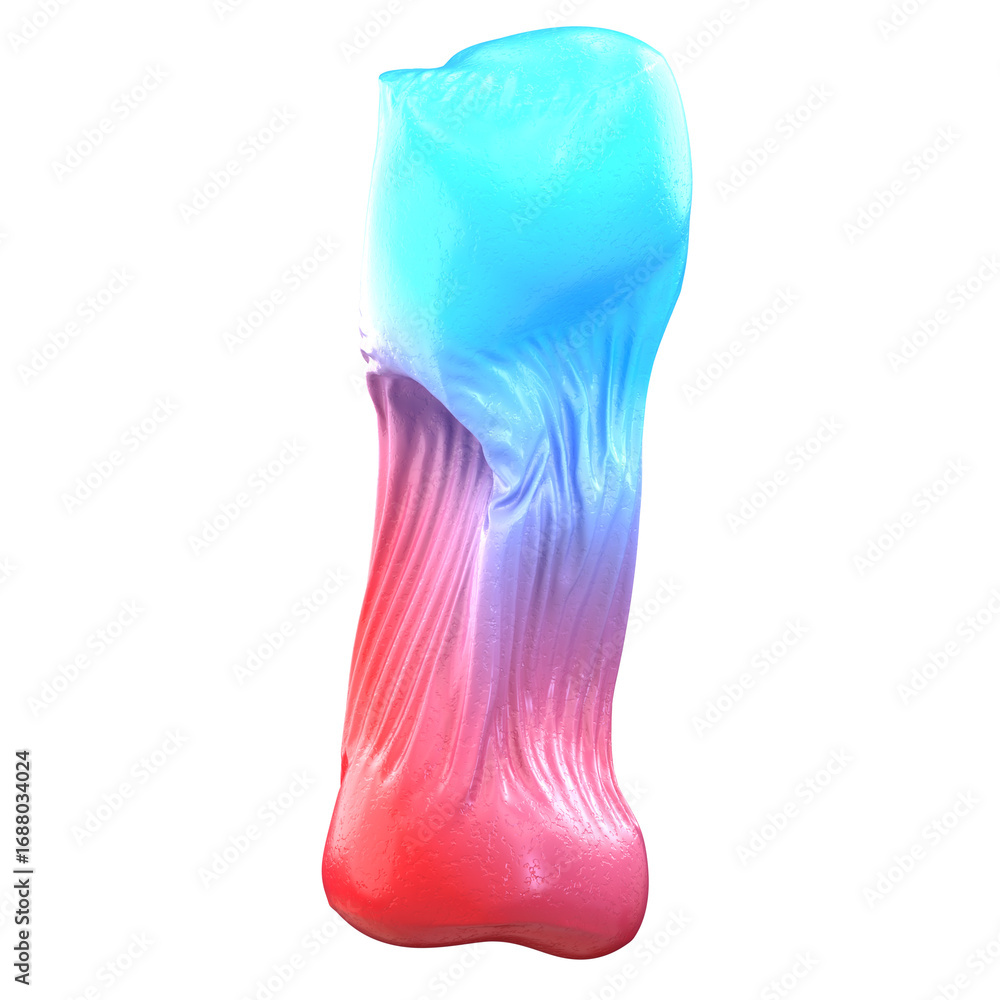 Poster abstract smooth gradient color form sculpture isolated with black background