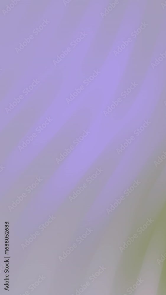 Poster subtle motion background with flowing abstract shapes and gentle pastel color variations