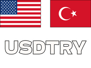 シンプルなドルトルコリラのアイコンイラスト