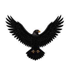Fototapeta premium Powerful black eagle with wings spread wide.