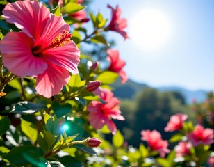 An array of pink hibiscus flowers in full bloom against a backdrop of lush green foliage and a clear blue sky with only one cloud