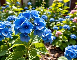 A vibrant garden displaying an array of flowers in full bloom