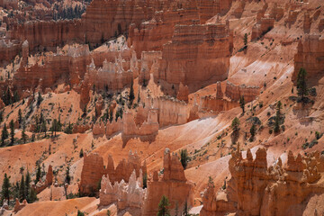 Stunning Hoodoos and Red Rock Formations in Bryce Canyon National Park