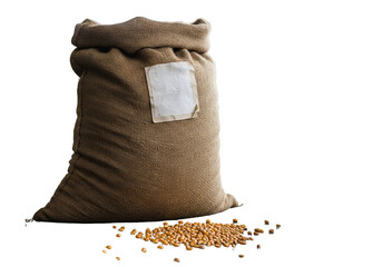 Burlap sack filled with corn kernels isolated on white background, maize grains agricultural harvest and rural farm storage