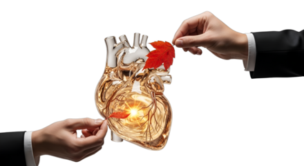 Hands placing red elements onto a glowing, transparent human heart, symbolizing health, care, and compassion for cardiology, wellness programs, medical ethics,