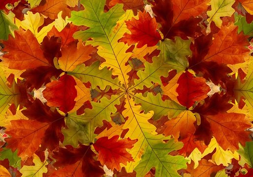 Autumnal Kaleidoscope: A vibrant mosaic of colorful leaves creating a mesmerizing symmetrical composition, ideal for