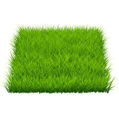 Isolated Green Grass Patch Illustration With Transparent Background