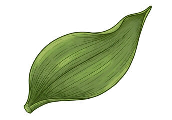 Isolated Green Leaf Illustration On Transparent Background Botanical Design