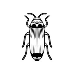 Black and white beetle line art vector illustration. illustration of beetle with intricate line art design.
