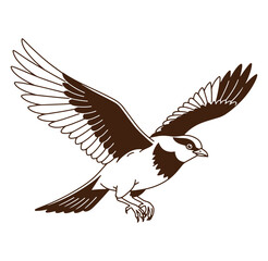 Obraz premium Illustration of a bird in mid flight with brown wings and clean lines on a white background