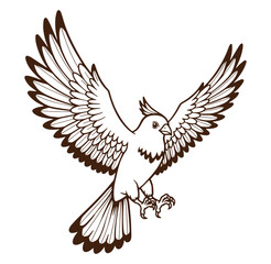 Fototapeta premium Vector illustration of a bird in flight with outstretched wings and detailed feathers