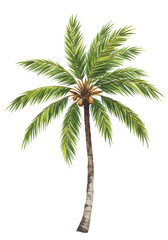 Isolated Green Palm Tree Illustration with Brown Trunk on Transparent Background