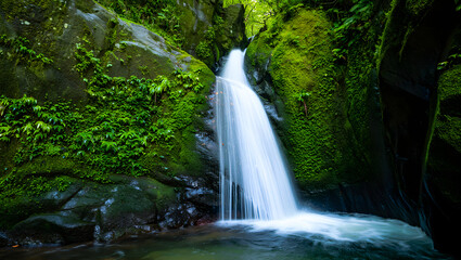 Fototapeta premium Lush Green Waterfall Cascading Over Moss Covered Rocks In Forest nature