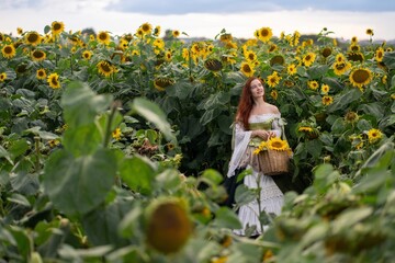 Redhead woman smiles amidst vibrant sunflower field, basket overflowing with blooms.
