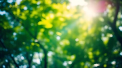 Obraz premium Sunlight filters through green foliage, creating a dreamy bokeh effect against the sky in this serene natural scene.