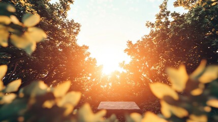 Sunlight filtering through green leaves creating a peaceful and warm nature scene with a square