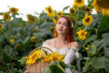 Radiant woman holds basket brimming with sunflowers amidst a vibrant field, evoking warmth and...