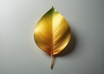 Close-up of a single golden and green leaf unfolding from its stem like a delicate tiny flower