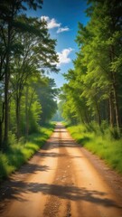 Fototapeta premium A rural road with deep rutted earth and sparse vegetation