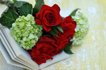 Roses, flowers, book, knowledge, gift, free space