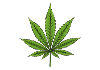 Isolated Illustration of a Green Cannabis Leaf on a Black Background