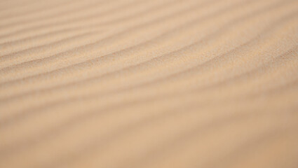 Abstract Sand Dune Texture with Ripples and Shallow Depth of Field