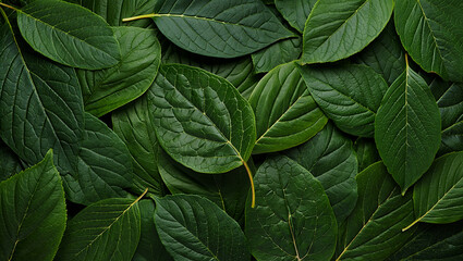 Lush Green Leaves Background A Natural Texture of Fresh Foliage