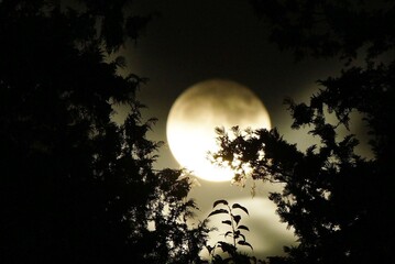 月夜