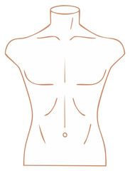 Anatomical Illustration of a Male Torso Outline, Abstract Human Body Art, Fashion Design Drawing, Body Contours