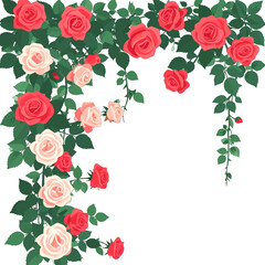 Rose Vines Corner Border with Pink and Red Flowers on White Background