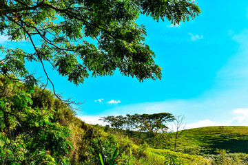 Paisaje verde de naturaleza tropical