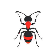Red And Black Ant Insect Illustration Isolated On White Background