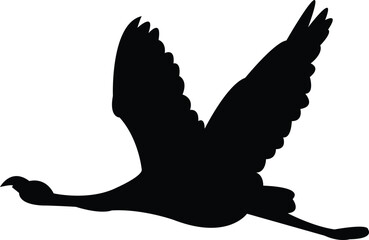 Flying Andean flamingo bird Silhouette Design And Vector Illustration. 