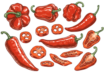 Isolated Illustration Of Various Red Peppers On A Black Background