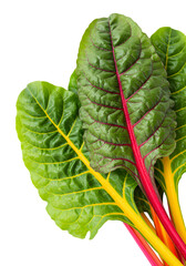 Isolated Image of Rainbow Chard Leaves with Water Drops a Transparent Background