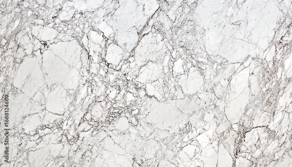 Poster the image shows a detailed close-up of a white marble surface with a network of thin grey veins thro