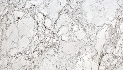 Fototapeta premium The image shows a detailed close-up of a white marble surface with a network of thin grey veins throughout its texture.