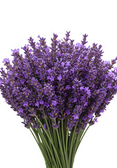 Isolated Lavender Bouquet On Transparent Background Photo