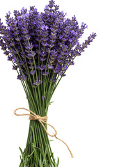 Isolated Lavender Bouquet Photo On Transparent Background