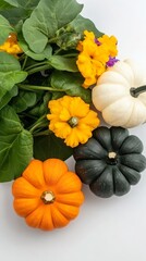 Autumn mini pumpkins in orange, black and white with yellow flowers on white background, flat lay fall banner with copy space for thanksgiving decoration