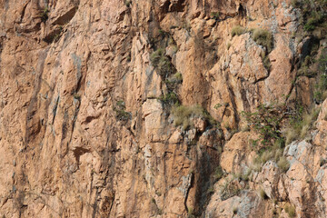 Close-up of a rocky stone cliff with scattered vegetation abstract textured background