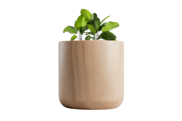 A modern wooden pot with vibrant green plants, perfect for home decor and bringing nature indoors.