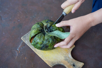 Diospyros nigra, the black sapote, is a species of persimmon. The black sapote, also known as the chocolate pudding fruit. Exotic Fruit from Mexico. Black Pudding Fruit.	