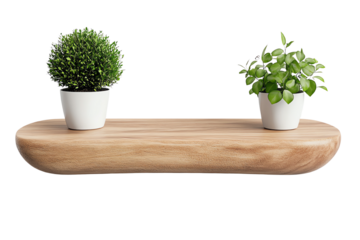 Stylish wooden shelf showcasing two potted plants, perfect for home decor and nature-inspired designs.