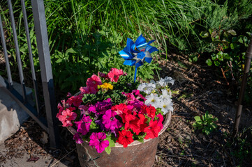 pot of colorful flowers on the front porch