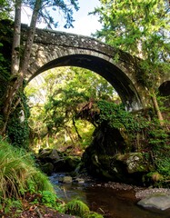Stone arch bridge over a stream