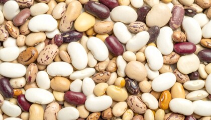 乾燥豆が並ぶヘルシーフード素材