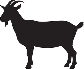 Close up of a vibrant green leaf with water droplets