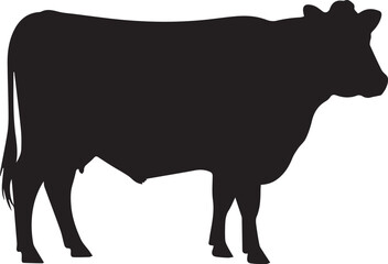 Silhouette Cow on a white a background