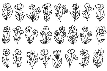seamless pattern with flowers